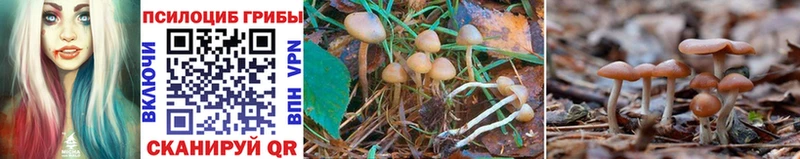 Галлюциногенные грибы MAGIC MUSHROOMS  Иркутск 